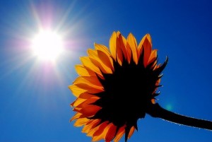 Let the Sun Shine In: 5 Summer Decorating Ideas